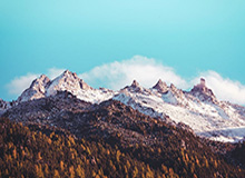 当知我名！JiaQi女枪豪取五杀打出团灭