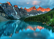 乐鱼app：掌上娱乐的新纪元